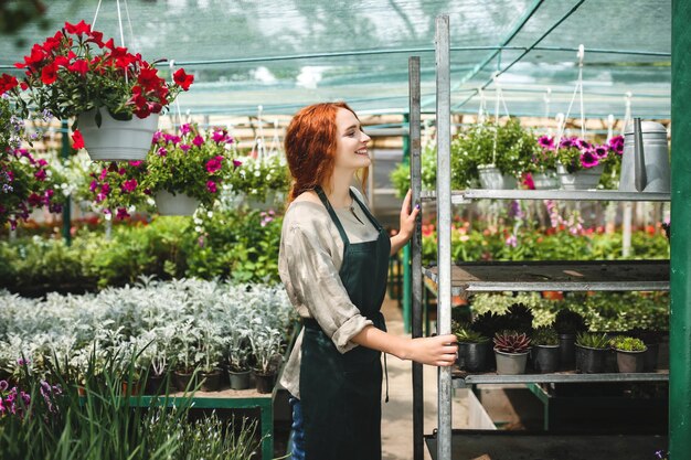 Florista alegre en delantal de pie alrededor de hermosas flores y felizmente trabajando en un gran invernadero