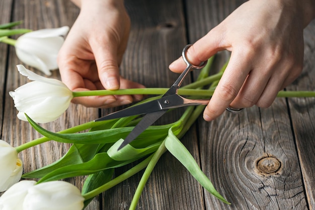 Una florista hace un ramo de tulipanes cortando las puntas con tijeras.