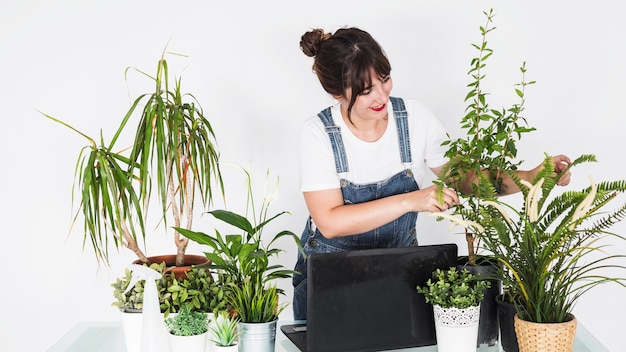 Florista de sexo femenino sonriente que examina las plantas en conserva con el ordenador portátil en el escritorio