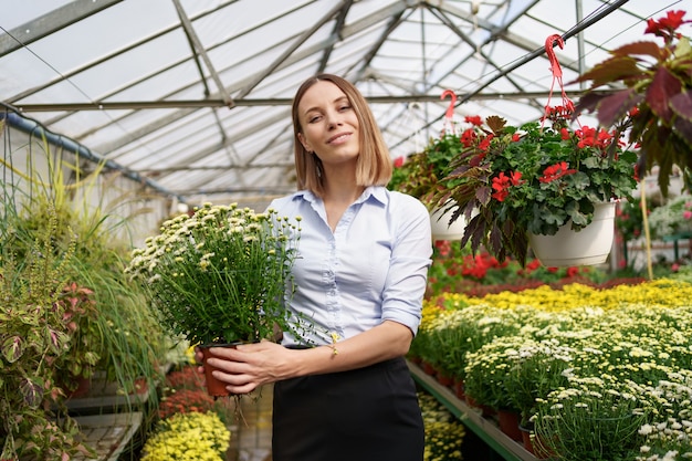 Floristería feliz sonriente en su vivero de pie sosteniendo crisantemos en macetas en sus manos mientras tiende a las plantas de jardín en el invernadero