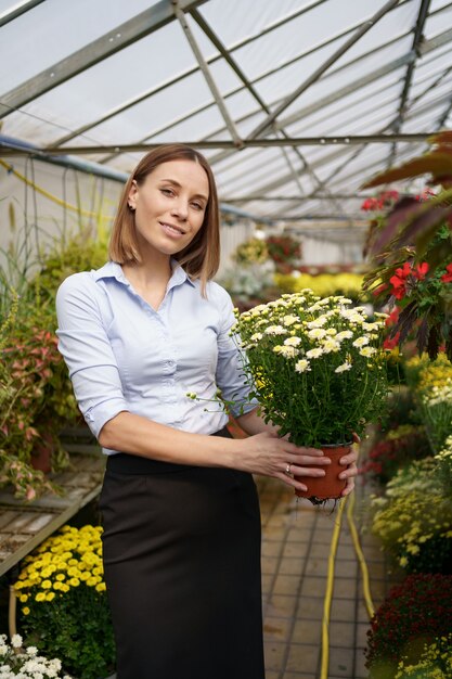 Floristería feliz sonriente en su vivero de pie sosteniendo crisantemos en macetas en sus manos mientras tiende a las plantas de jardín en el invernadero