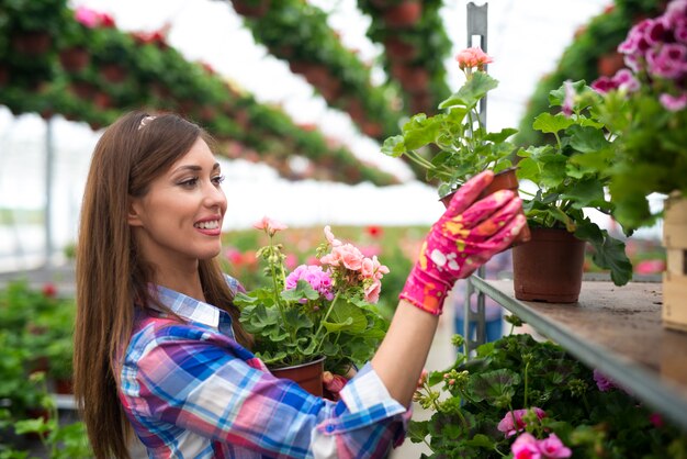 Floristería hermosa hermosa mujer poniendo flores en macetas en el estante