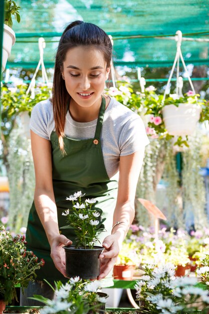 Floristería hermosa joven que cuida las flores.