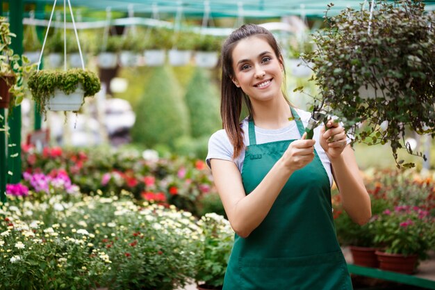 Floristería hermosa joven que cuida las flores.