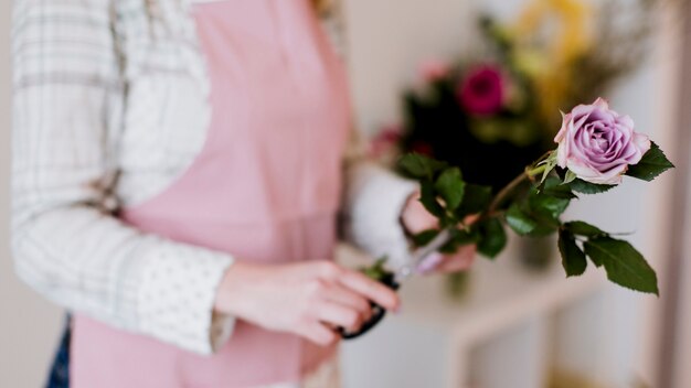 Floristería de mujer de cultivo preparar rosa