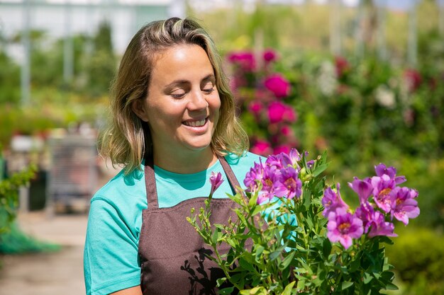 Floristería mujer inspirada feliz de pie en invernadero, sosteniendo la planta en maceta, mirando flores púrpuras y sonriendo. Retrato profesional, espacio de copia. Trabajo de jardinería o concepto de botánica.