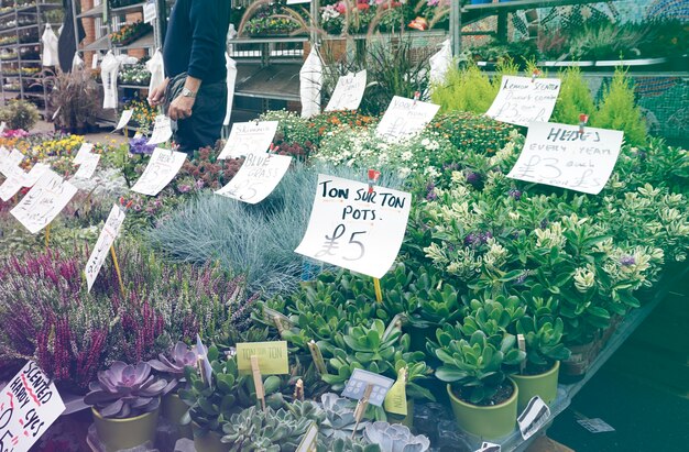 Floristería plena floración en el mercado