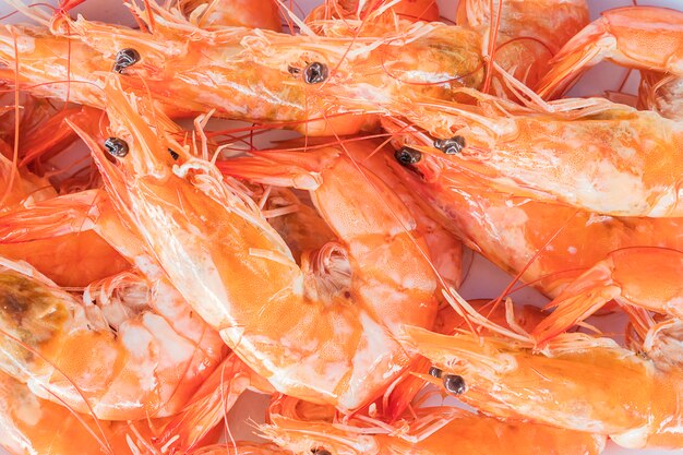 Foco selectivo de camarones al vapor en un plato blanco