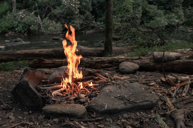 Fogata rodeada de vegetación y rocas con un río en un bosque