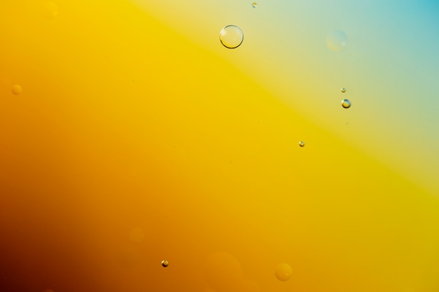 Fondo abstracto de color con variedad de gotas de lluvia transparentes