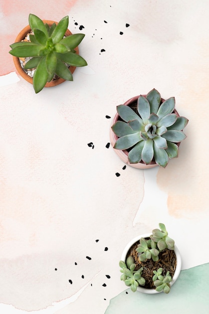 Foto gratuita fondo acuarela pastel con plantas suculentas de plantas de interior