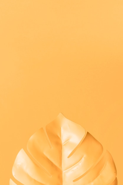 Fondo amarillo con hoja y copyspace