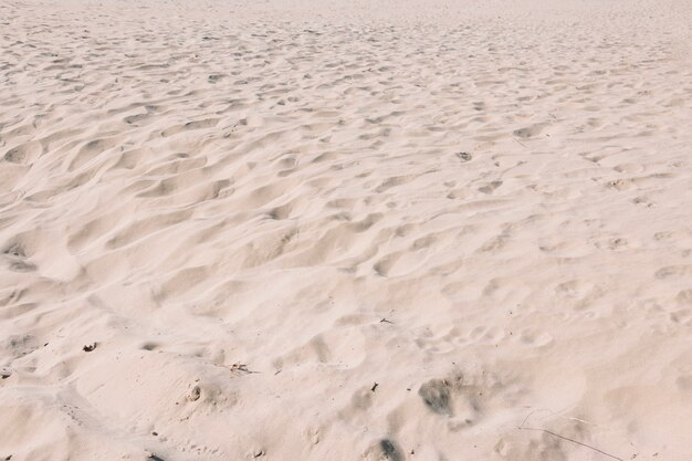 Fondo de arena con pequeñas dunas