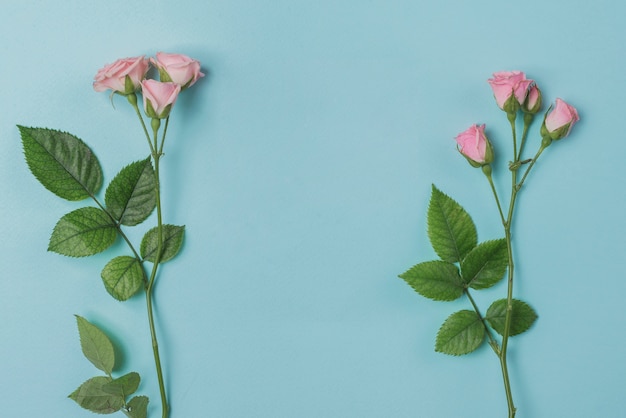 Fondo azul con preciosas flores para el día de la madre