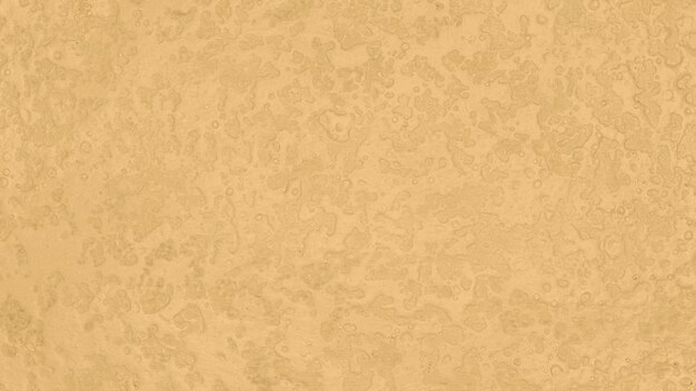 Fondo beige monocromático minimalista