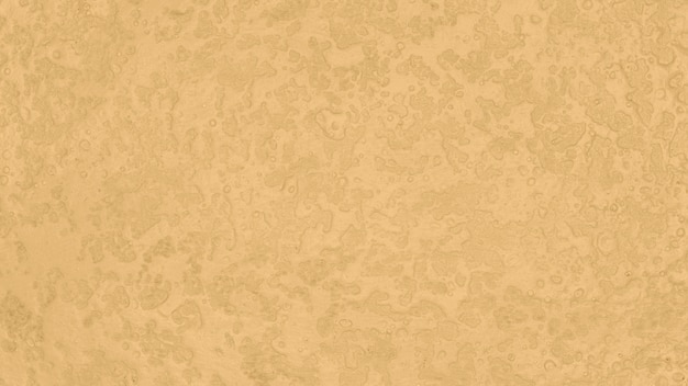 Fondo beige monocromático minimalista