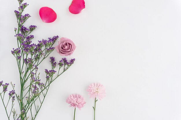 Fondo blanco con flores bonitas y pétalos rosas