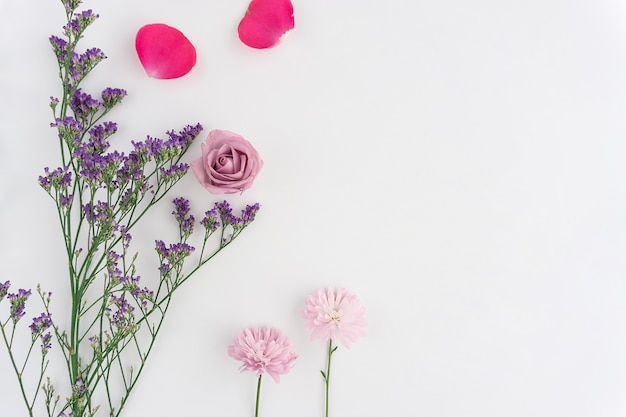 Fondo blanco con flores bonitas y pétalos rosas