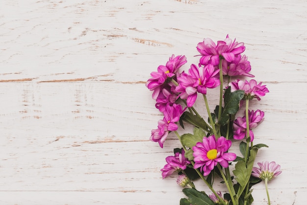 Fondo blanco con flores moradas