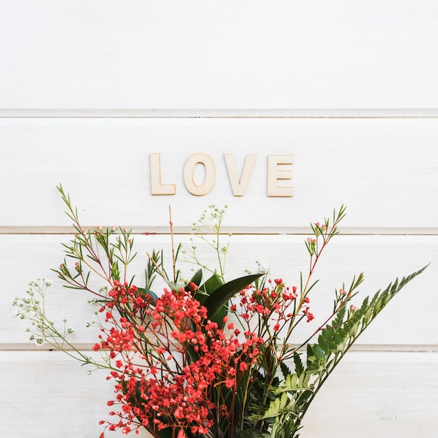 Fondo botánico con concepto de amor