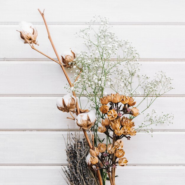 Fondo botánico con diferentes flores silvestres