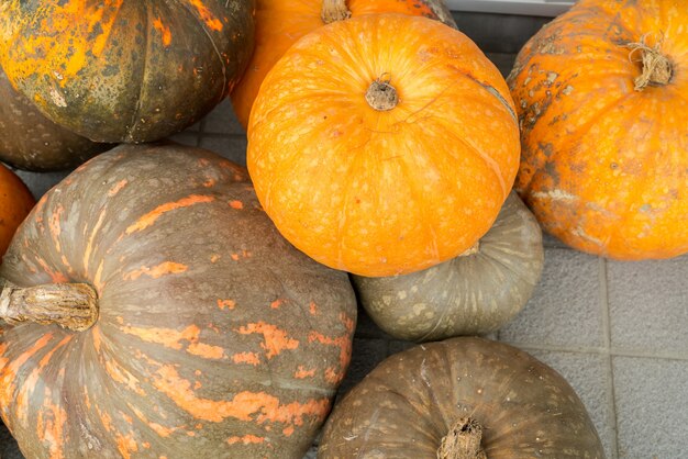 Fondo de la calabaza