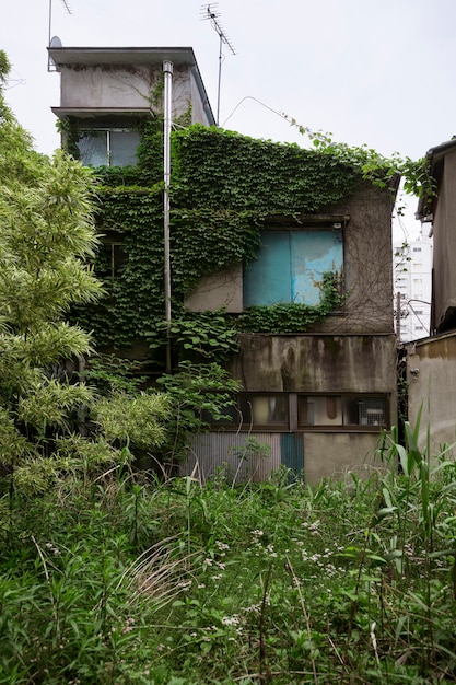 Fondo de casa embrujada y plantas verdes.