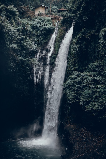 fondo cascada, montaña