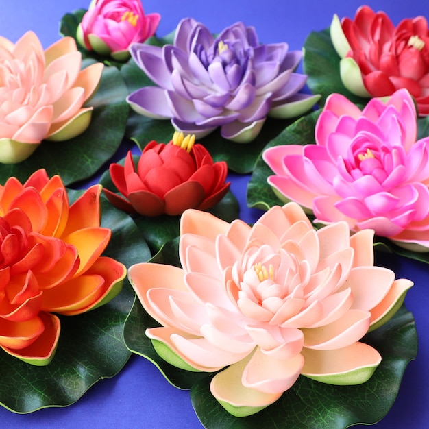 Fondo colorido de flores de loto