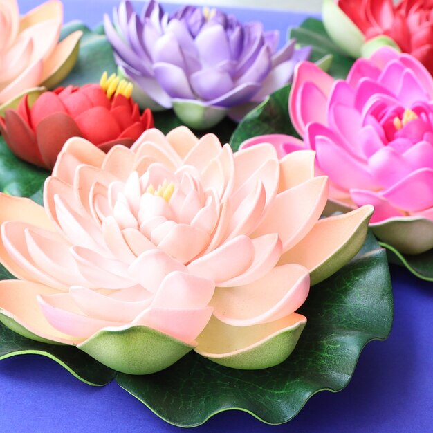 Fondo colorido de flores de loto