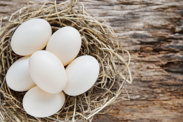 Fondo colorido pintado de los huevos de Pascua - concepto del fondo de la celebración del día de fiesta de Pascua