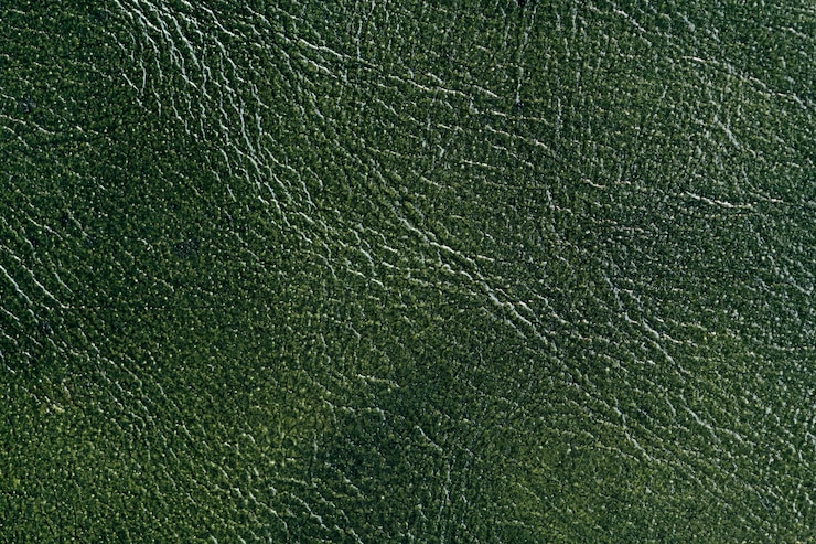 Foto gratuito fondo de cuero verde