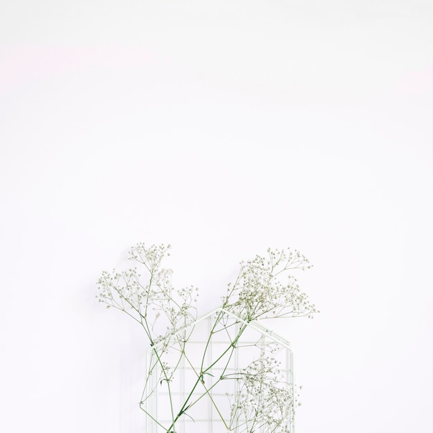 Fondo decorativo con flor blanca