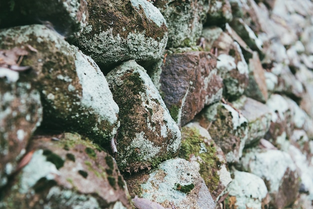 Fondo decorativo de la pared de la roca