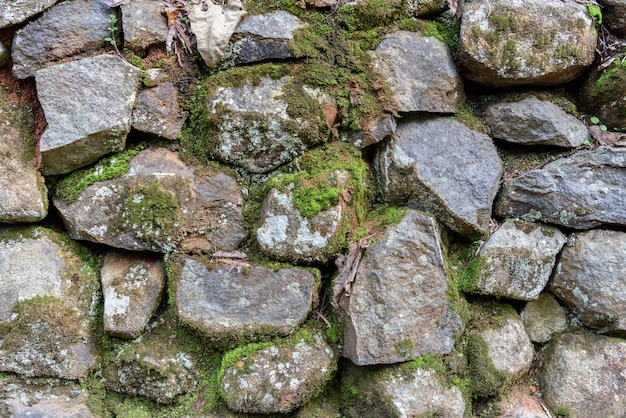 Fondo decorativo de la pared de la roca