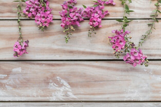 Fondo decorativo con tablones y flores lindas