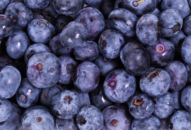 Fondo delicioso arándano