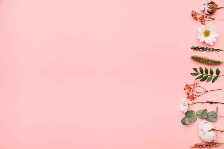 Foto gratuito fondo con elementos botánicos a la derecha