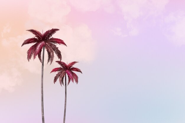 Fondo estético con palmera