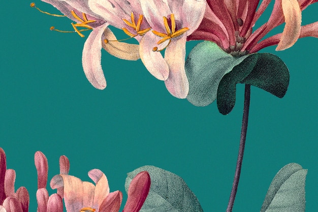 Fondo floral de primavera con ilustración de madreselva, remezclado de obras de arte de dominio público