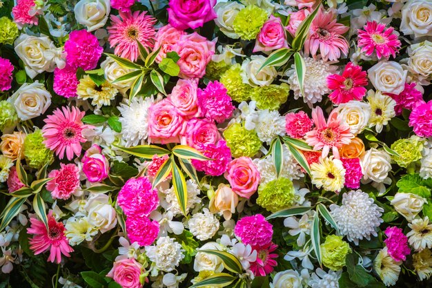 Fondo de flores blancas y rosas