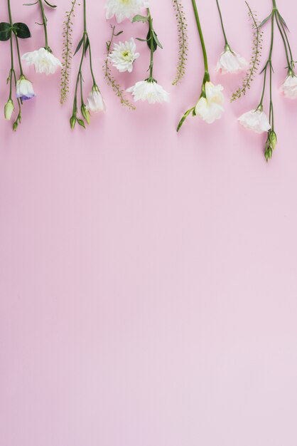 Fondo de flores con espacio