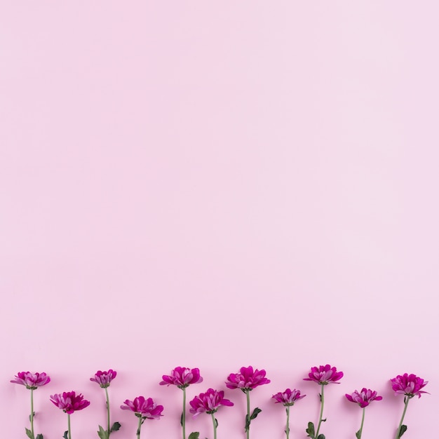 Fondo de flores con espacio