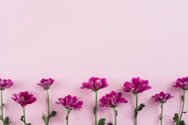 Fondo de flores con espacio