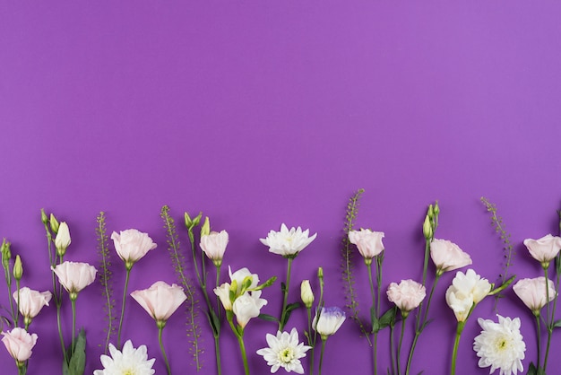 Foto gratuita fondo de flores con espacio