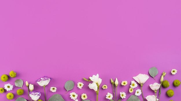 Fondo de flores con espacio