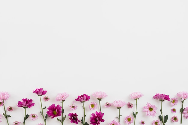 Fondo de flores con espacio