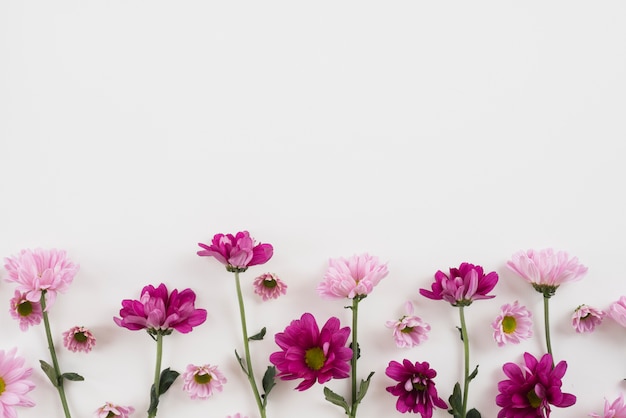 Fondo de flores con espacio