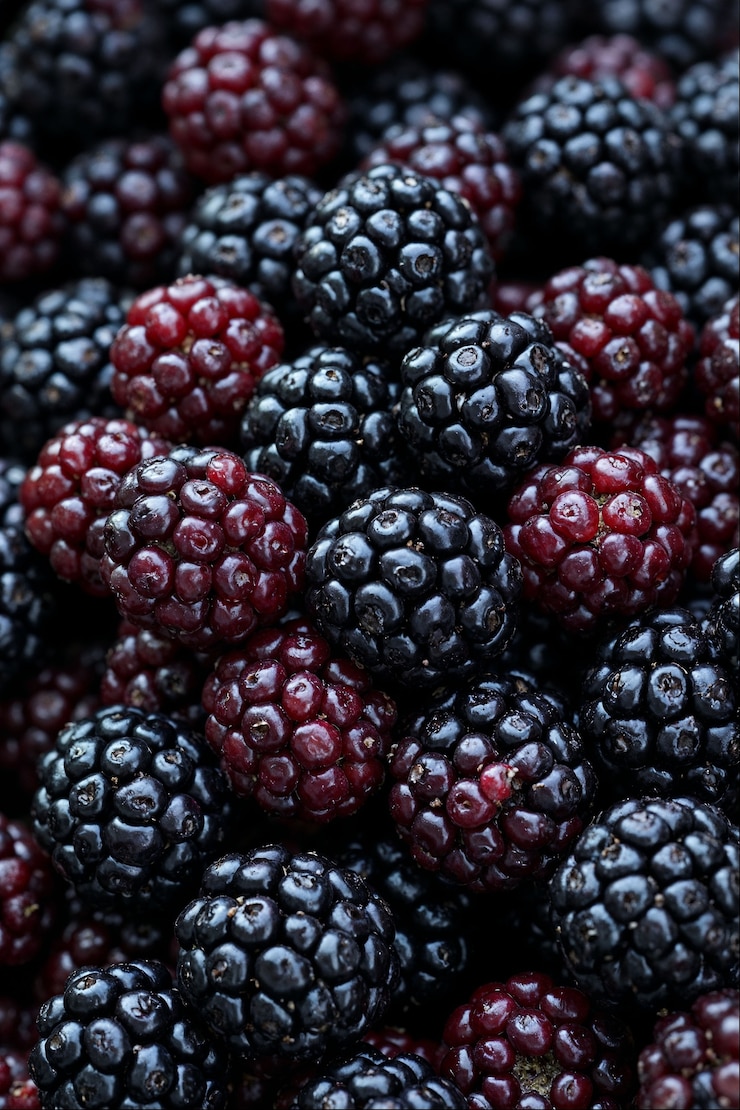 Foto gratuito fondo de frutas de morera