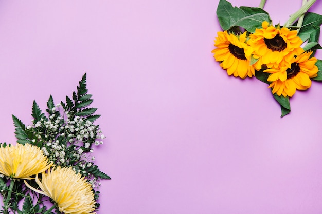 Fondo con girasoles y flores silvestres